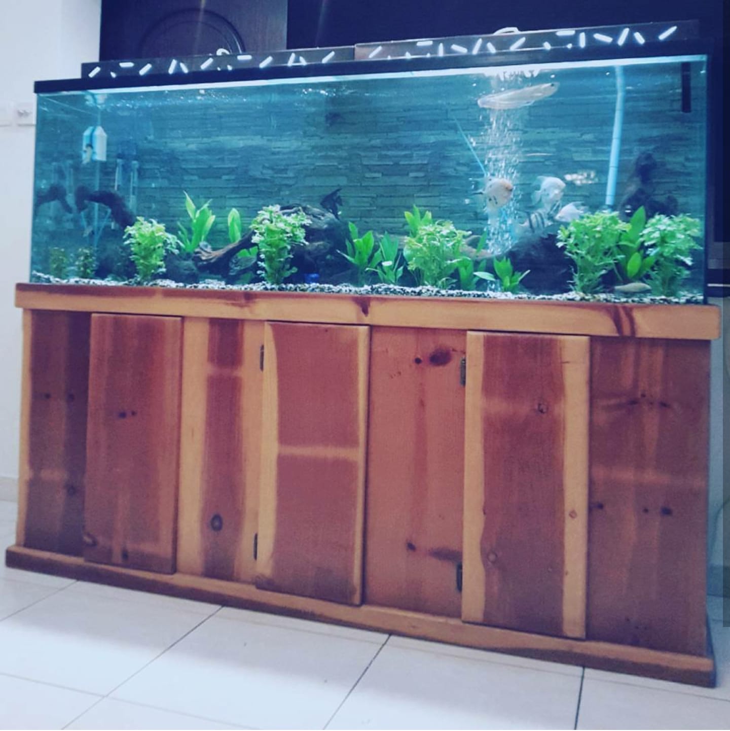 Aquarium Fish Tank for sale